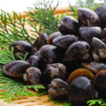 《犬が食べても大丈夫？》犬にしじみを与える事について調べました